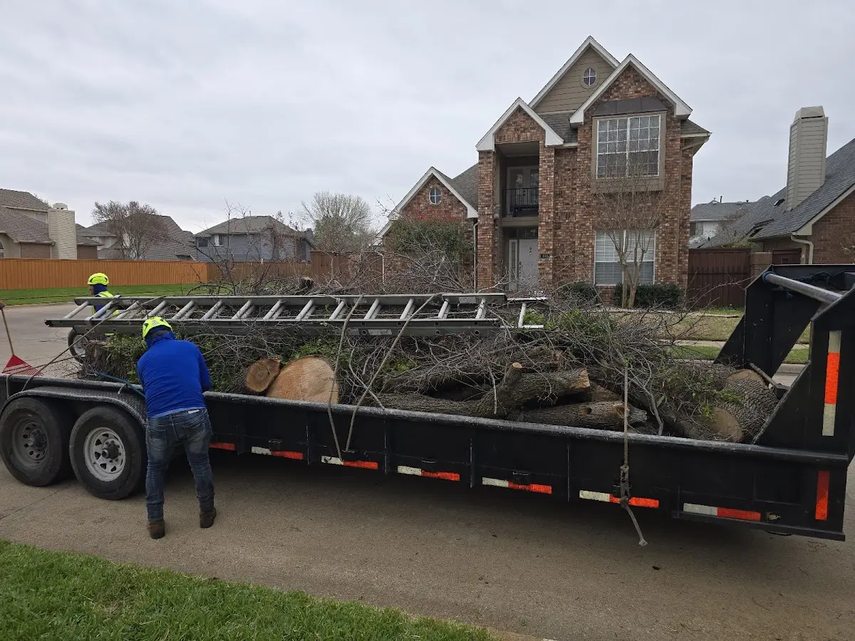 Expert Tree Pest Control with proper safety equipment in Saint Augustine